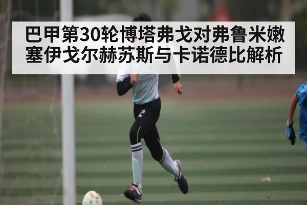 巴甲第30轮博塔弗戈对弗鲁米嫩塞伊戈尔赫苏斯与卡诺德比解析 | kaiyun